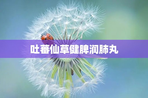 吐蕃仙草健脾润肺丸