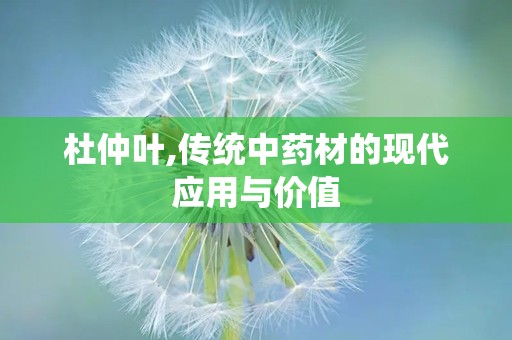 杜仲叶,传统中药材的现代应用与价值