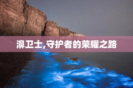 濞卫士,守护者的荣耀之路