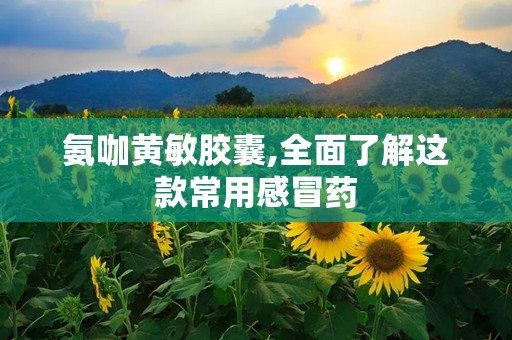 氨咖黄敏胶囊,全面了解这款常用感冒药