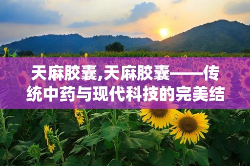 天麻胶囊,天麻胶囊——传统中药与现代科技的完美结合