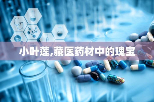 小叶莲,藏医药材中的瑰宝