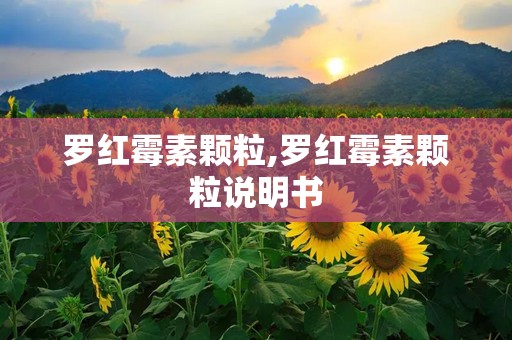 罗红霉素颗粒,罗红霉素颗粒说明书