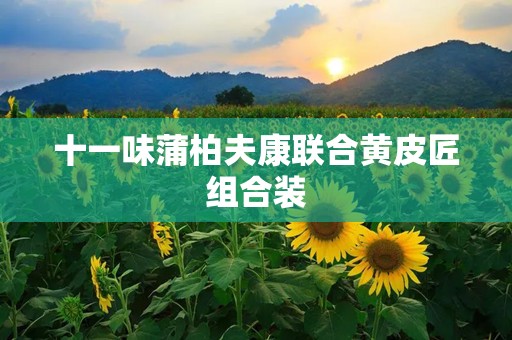 十一味蒲柏夫康联合黄皮匠组合装