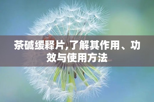 茶碱缓释片,了解其作用、功效与使用方法