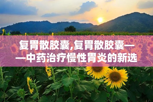 复胃散胶囊,复胃散胶囊——中药治疗慢性胃炎的新选择
