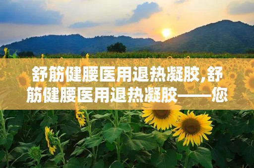 舒筋健腰医用退热凝胶,舒筋健腰医用退热凝胶——您的健康守护者