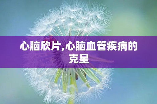 心脑欣片,心脑血管疾病的克星