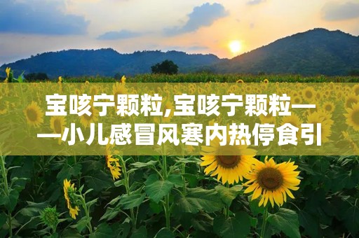 宝咳宁颗粒,宝咳宁颗粒——小儿感冒风寒内热停食引起的头痛身烧、咳嗽痰盛的良药