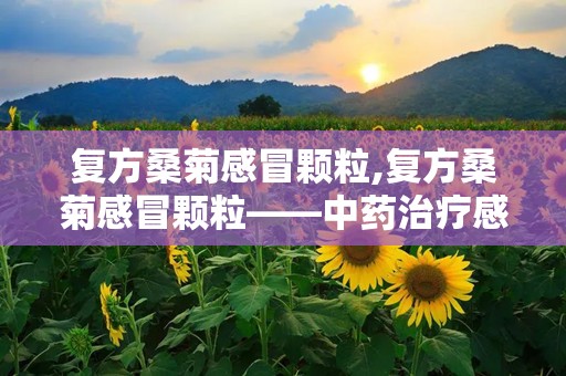 复方桑菊感冒颗粒,复方桑菊感冒颗粒——中药治疗感冒的优选