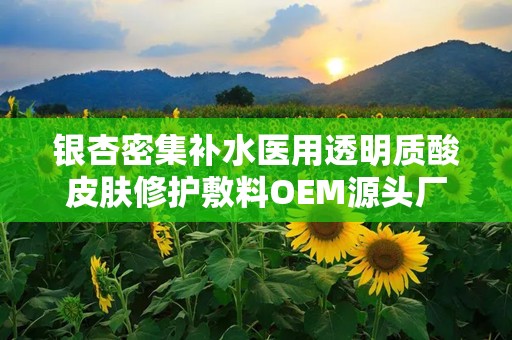银杏密集补水医用透明质酸皮肤修护敷料OEM源头厂家,医用透明质酸钠凝胶生产厂家