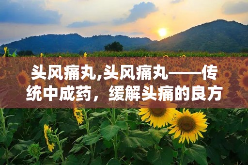 头风痛丸,头风痛丸——传统中成药，缓解头痛的良方