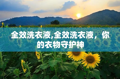 全效洗衣液,全效洗衣液，你的衣物守护神