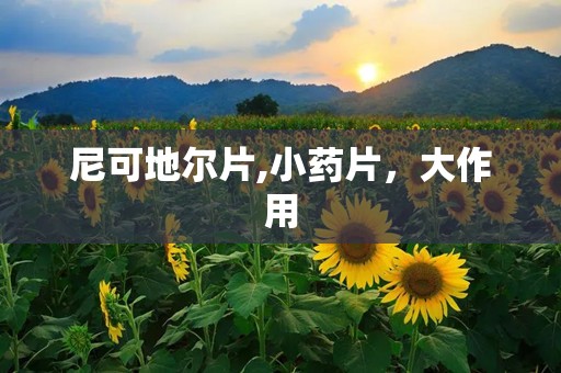 尼可地尔片,小药片，大作用