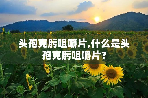 头孢克肟咀嚼片,什么是头孢克肟咀嚼片？