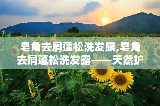 皂角去屑蓬松洗发露,皂角去屑蓬松洗发露——天然护理，秀发焕新