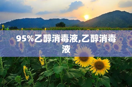 95%乙醇消毒液,乙醇消毒液