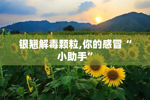 银翘解毒颗粒,你的感冒“小助手”