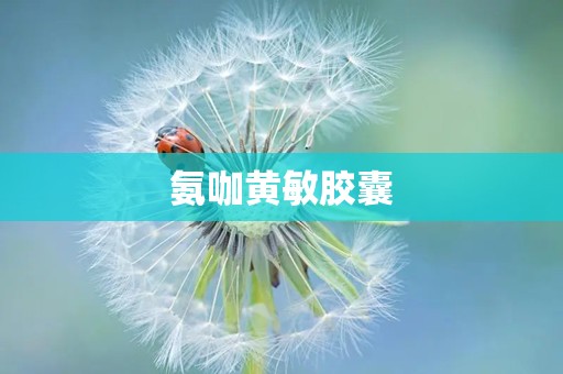 氨咖黄敏胶囊