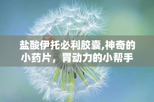 盐酸伊托必利胶囊,神奇的小药片，胃动力的小帮手