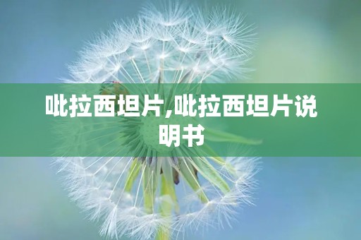 吡拉西坦片,吡拉西坦片说明书