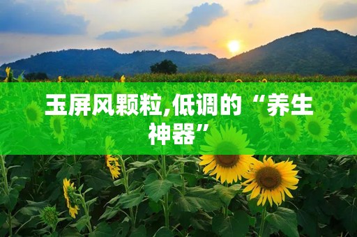 玉屏风颗粒,低调的“养生神器”