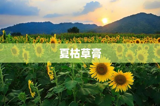 夏枯草膏