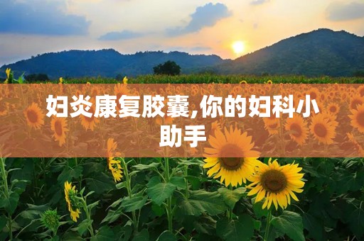 妇炎康复胶囊,你的妇科小助手