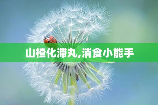 山楂化滞丸,消食小能手