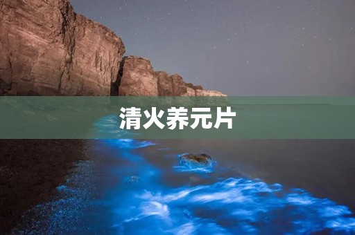 清火养元片