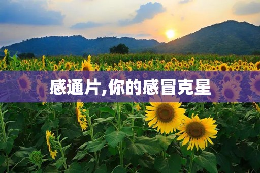 感通片,你的感冒克星