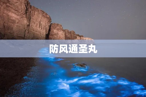 防风通圣丸