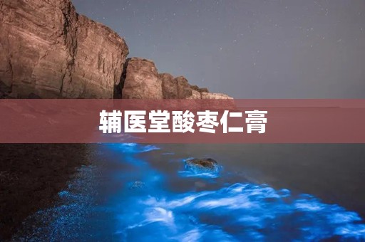 辅医堂酸枣仁膏