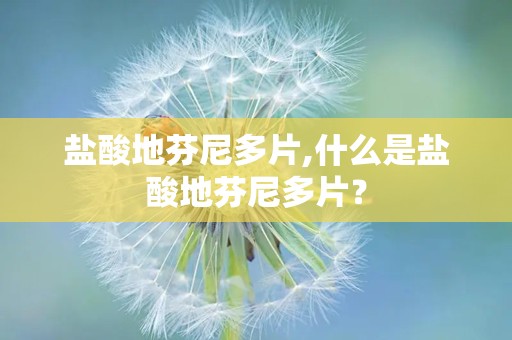 盐酸地芬尼多片,什么是盐酸地芬尼多片？
