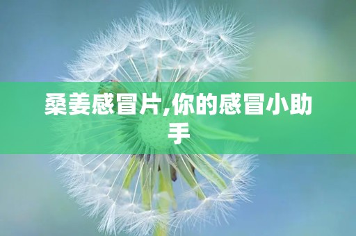 桑姜感冒片,你的感冒小助手
