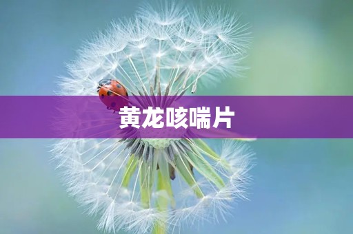 黄龙咳喘片