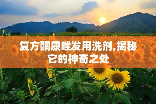 复方酮康唑发用洗剂,揭秘它的神奇之处