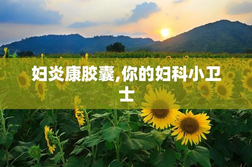 妇炎康胶囊,你的妇科小卫士