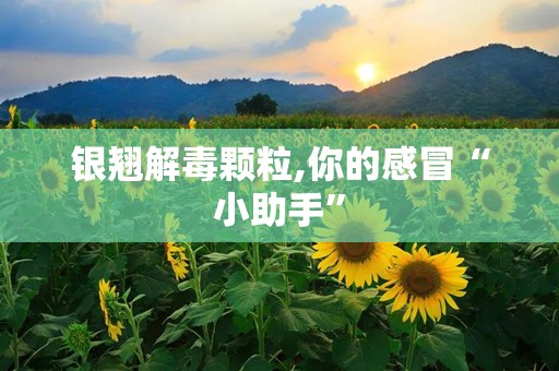 银翘解毒颗粒,你的感冒“小助手”