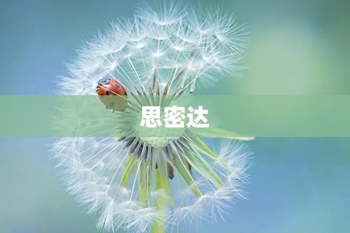 思密达