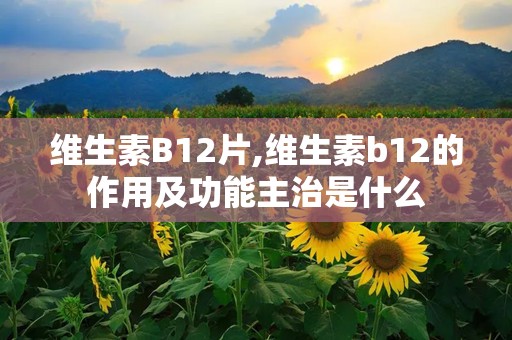维生素B12片,维生素b12的作用及功能主治是什么