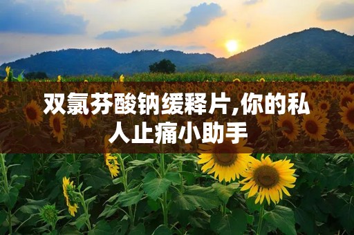 双氯芬酸钠缓释片,你的私人止痛小助手