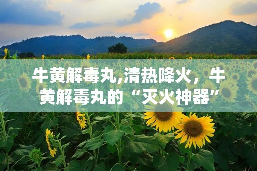 牛黄解毒丸,清热降火，牛黄解毒丸的“灭火神器”