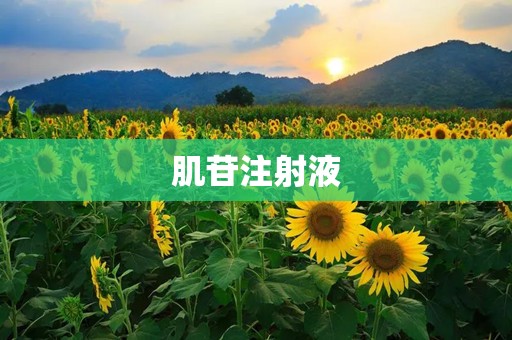 肌苷注射液