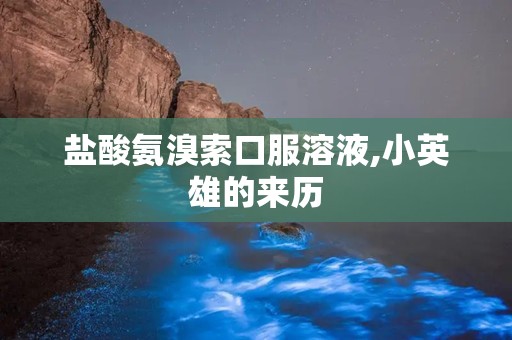 盐酸氨溴索口服溶液,小英雄的来历