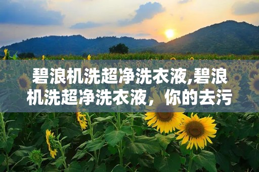 碧浪机洗超净洗衣液,碧浪机洗超净洗衣液，你的去污小能手