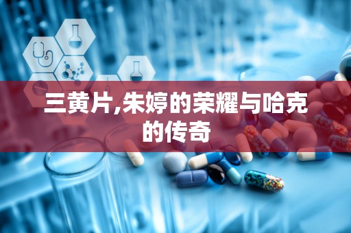 三黄片,朱婷的荣耀与哈克的传奇
