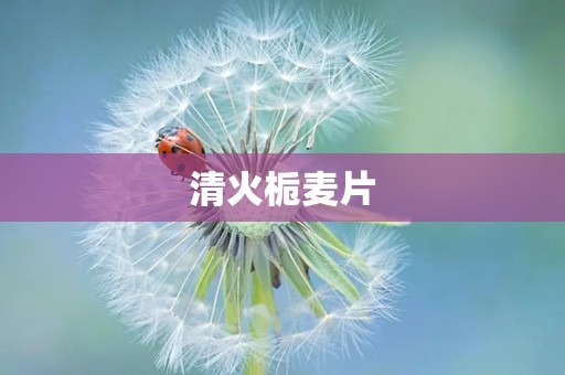 清火栀麦片