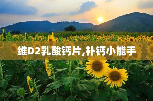 维D2乳酸钙片,补钙小能手