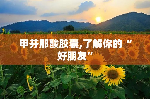 甲芬那酸胶囊,了解你的“好朋友”